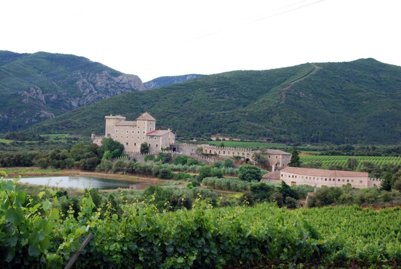 Castell De Riudabella Apartment Vimbodi I Poblet Bagian luar foto