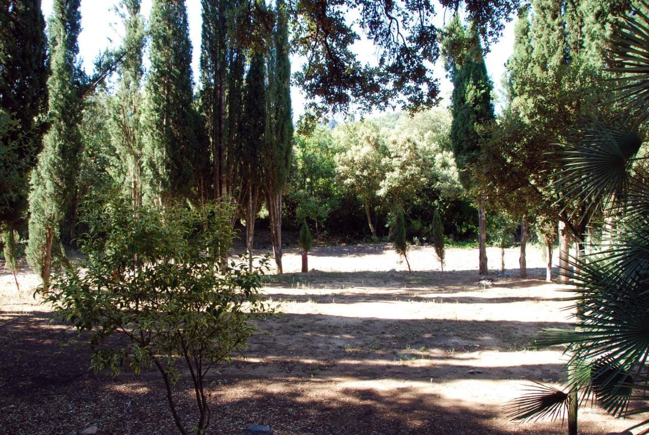 Castell De Riudabella Apartment Vimbodi I Poblet Bagian luar foto
