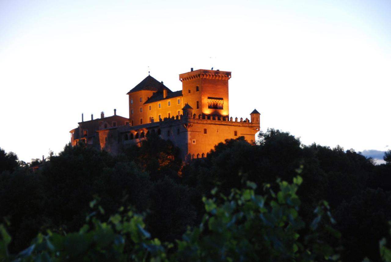 Castell De Riudabella Apartment Vimbodi I Poblet Bagian luar foto