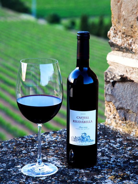 Castell De Riudabella Apartment Vimbodi I Poblet Bagian luar foto