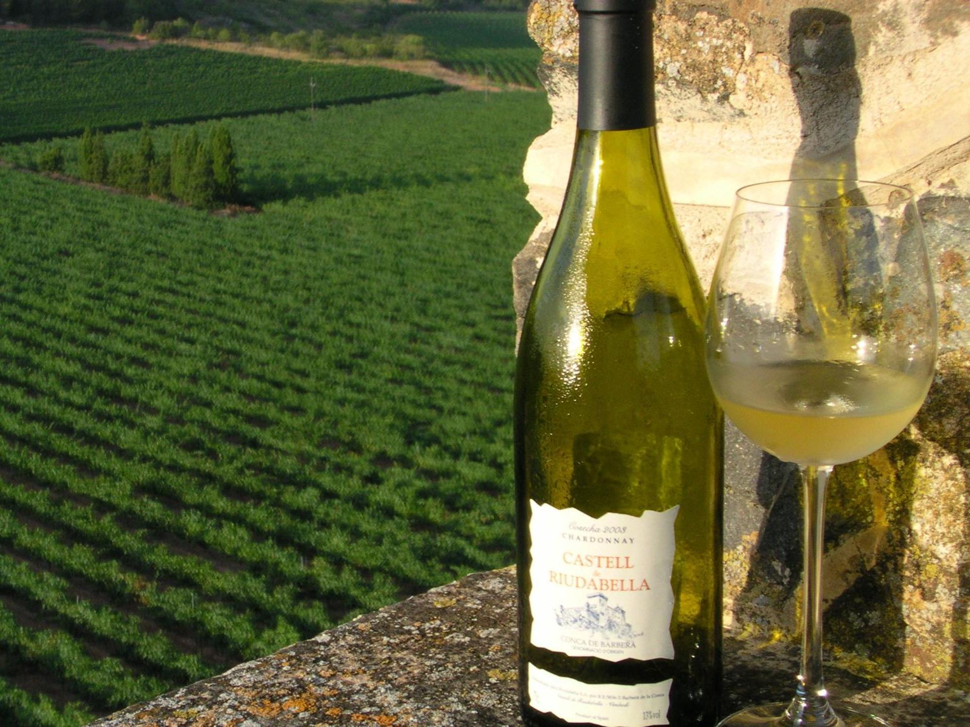 Castell De Riudabella Apartment Vimbodi I Poblet Bagian luar foto