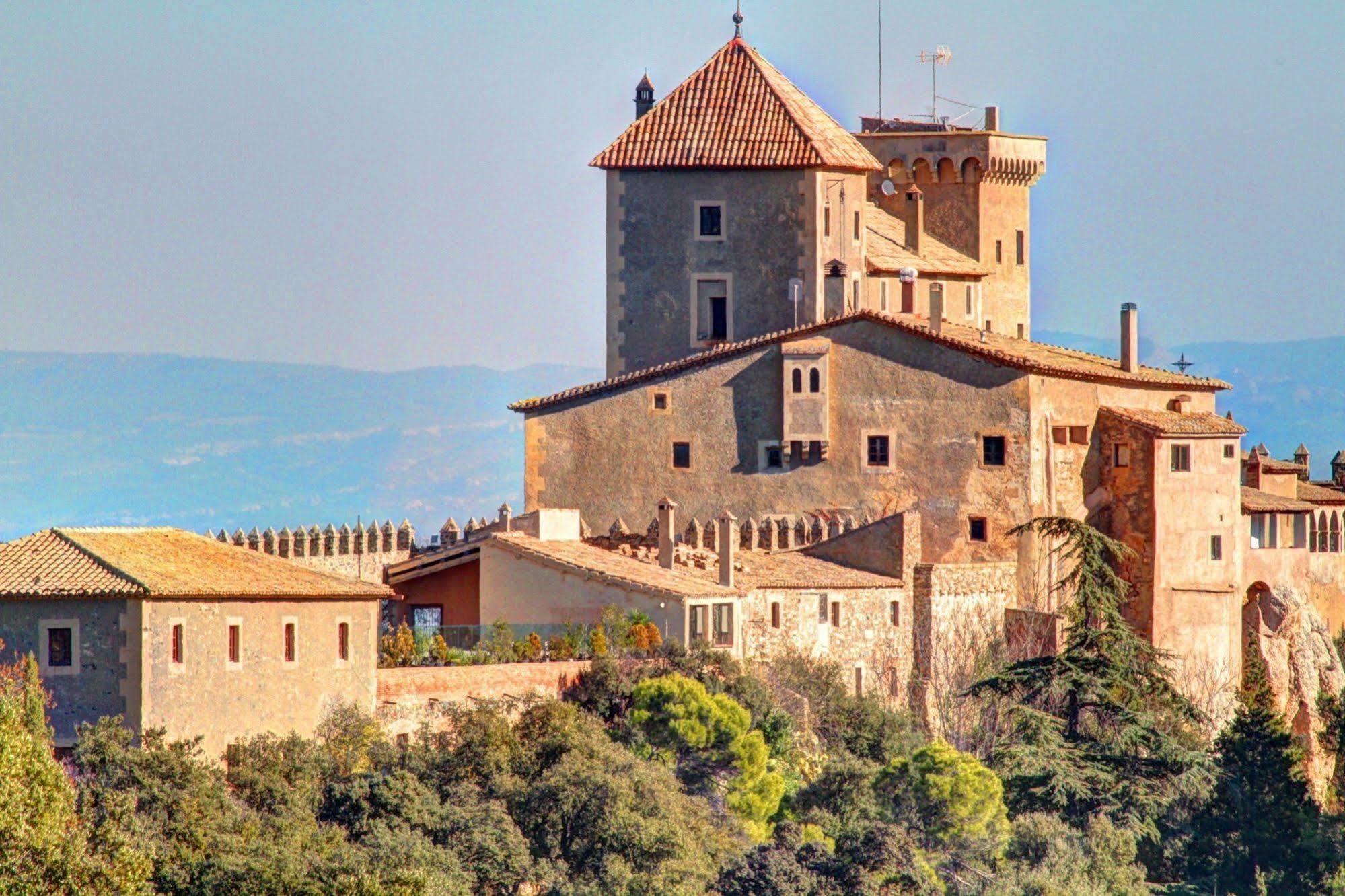 Castell De Riudabella Apartment Vimbodi I Poblet Bagian luar foto